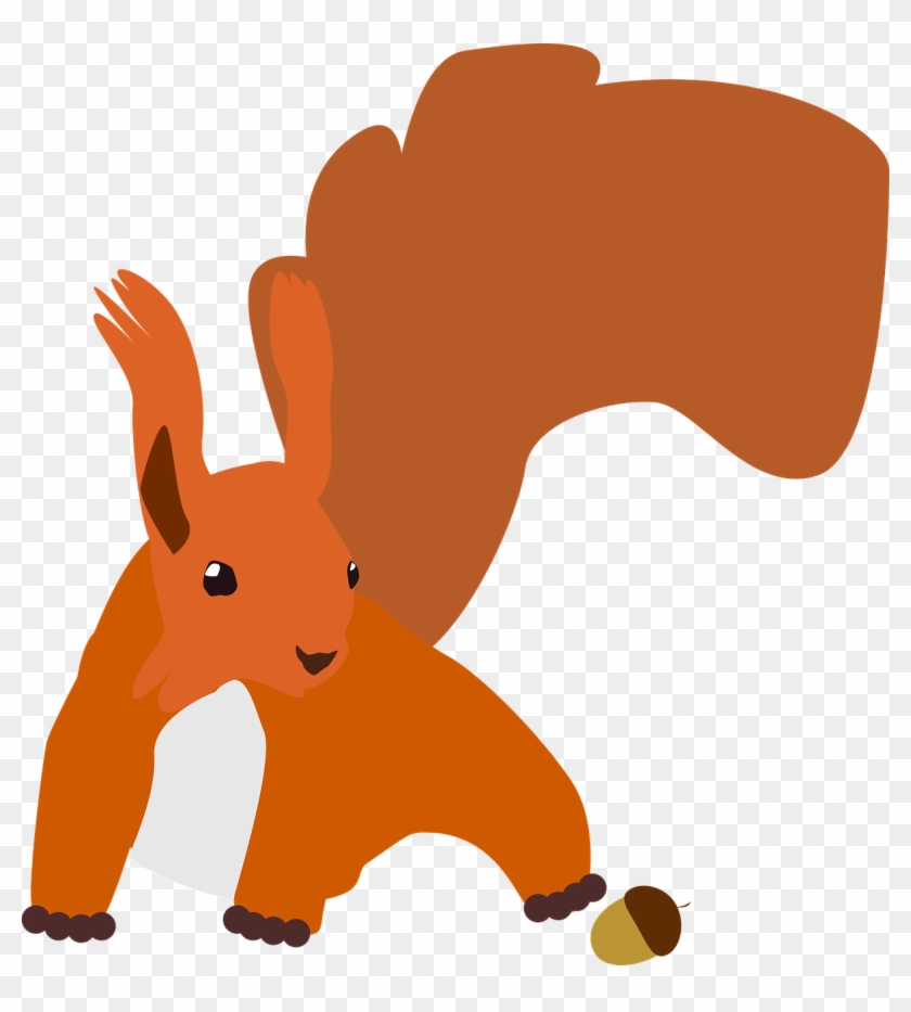 Red Squirrel Clipart Graphic - กระรอก Png #186159