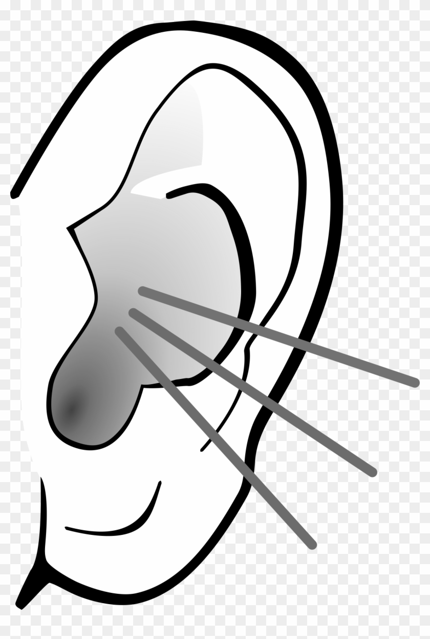 Peaceful Ideas Ear Clipart Png Ears Listening Transparent - Hören Clipart #186558