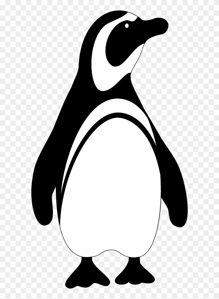 Download Small Png Medium Png Large Png Svg Edit Clipart - Black And White Penguin #186874
