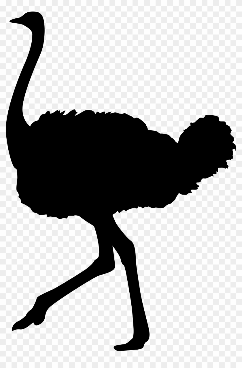 Ostrich Clipart Photo Png Images - Ostrich Silhouette #186905