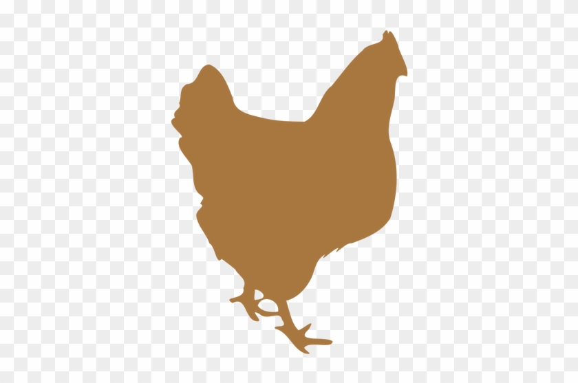 6855 Free Chicken Vector Silhouette Public Domain Vectors - Chicken #187057