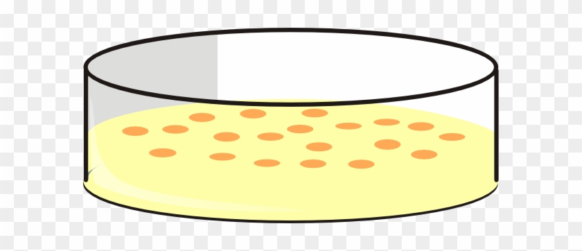 Cho Cell Petri Dish2 Yellow Medium Clip Art - Cell Culture Clip Art #187162