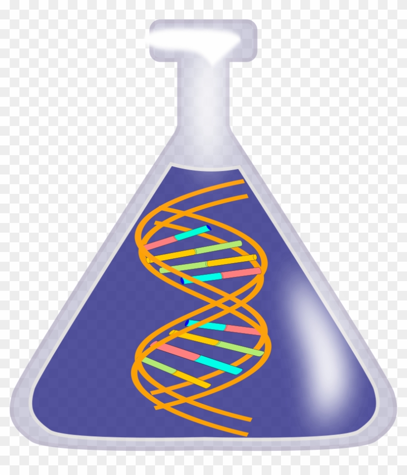 Dna Nucleic Acid Double Helix Free Content Clip Art - Dna Nucleic Acid Double Helix Free Content Clip Art #187182