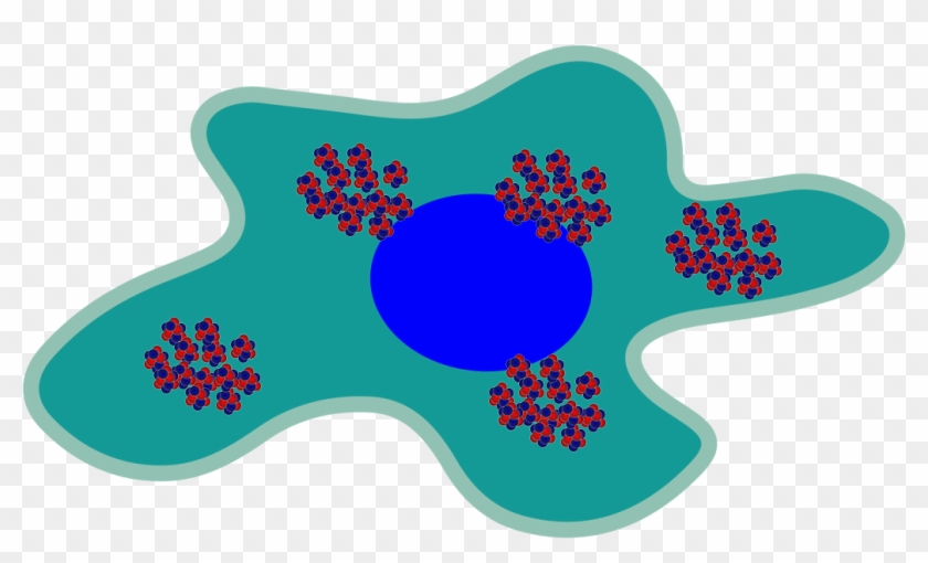 Boron-10 Accumulates In The Subject's Tumor Cells Continue - Guitar #187727