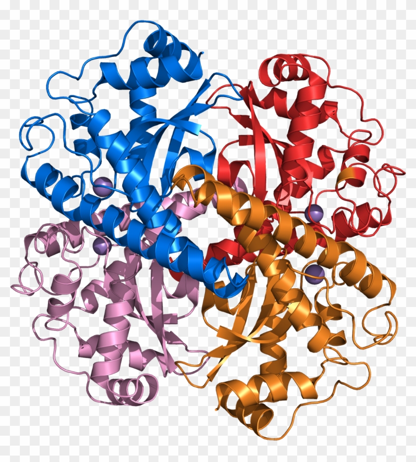 Superoxide Dismutase #187973