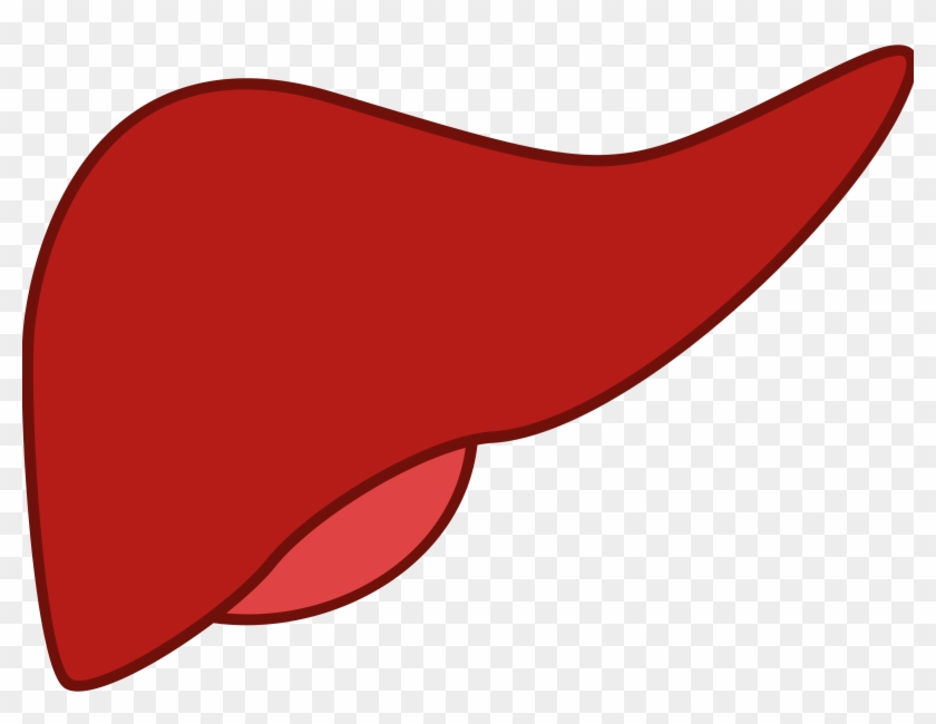 Liver Png - Liver Clipart #188219