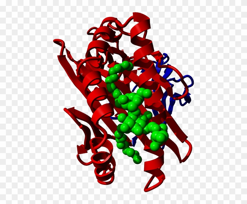 Cd1d, Cd1d - Cd1d #188288