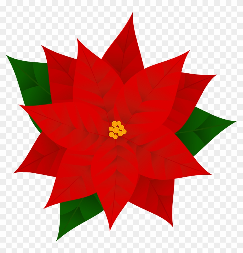 Amazing Ideas Poinsettia Clipart Free Poinsettias Cliparts - Poinsettia Clipart #188505