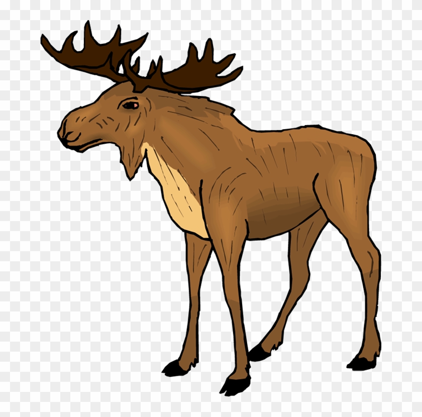 Moose Clipart R5dcjy Clipart - Moose Clipart #188987