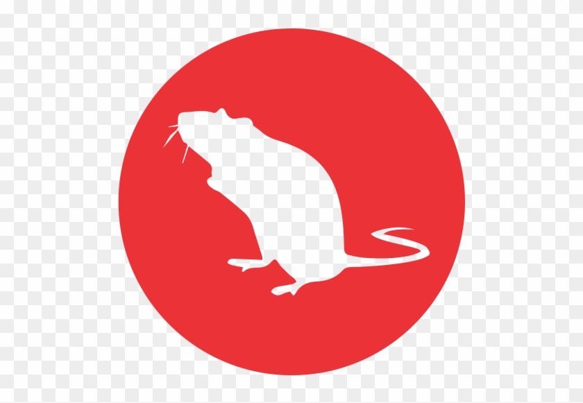 Rodents - French Mountain Sports Brand #1103049