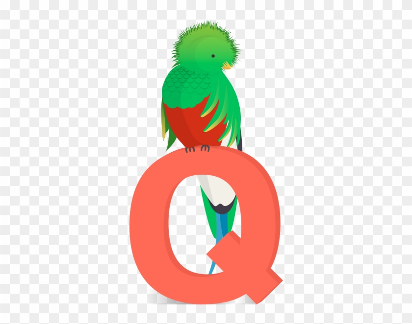 Q For Quetzal - Parakeet #1103202