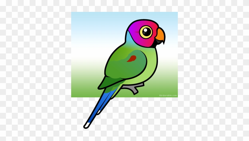 Cartoon Parrot Indian Ringneck #1103300