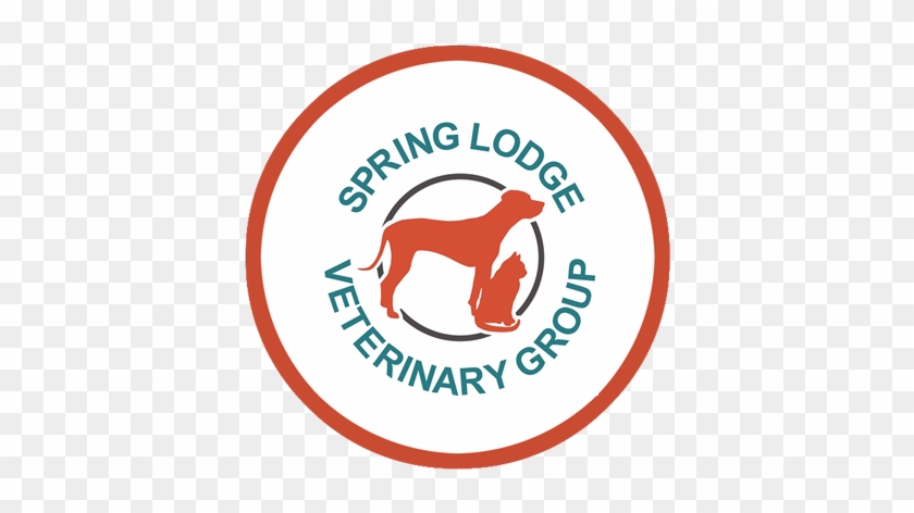 Our Pet Health Plan - Label #1103625