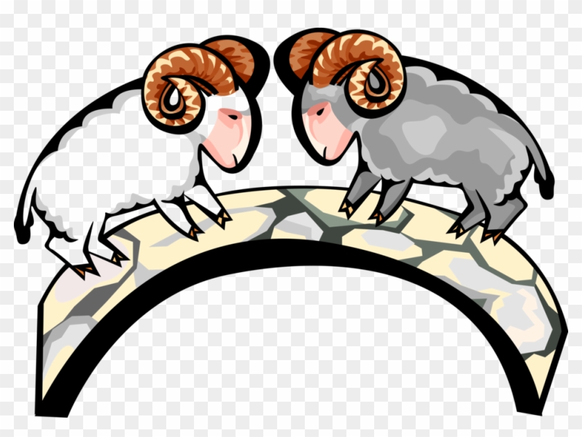 Vector Illustration Of Mountain Goat Rams Butt Heads - Contract #1103644