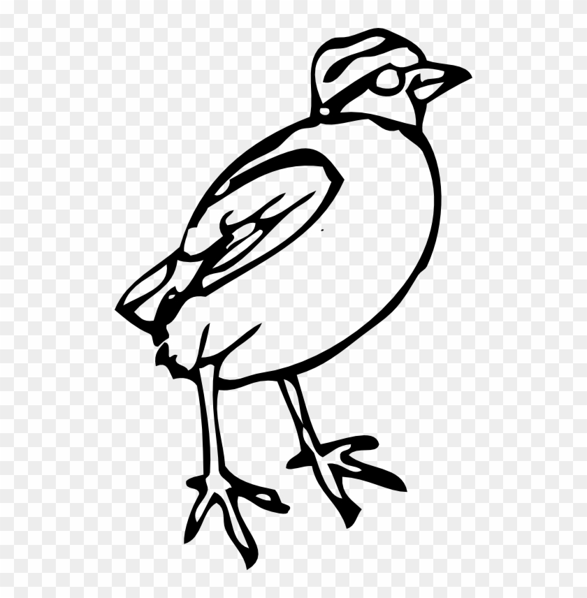 Pin Little Bird Clipart - Bird Clipart #1104501