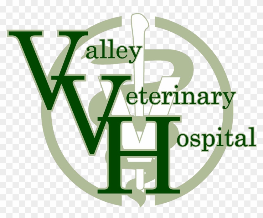 Animal Hospital Valley Veterinary Hosptial - Graphic Design #1104675