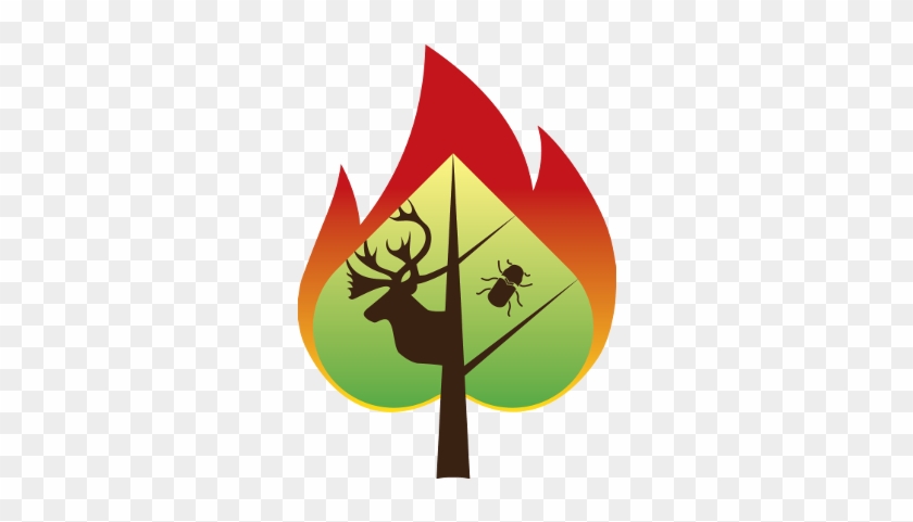 To Lead The Development Of A Mixed Severity Fire Regime - Ecology #1104948