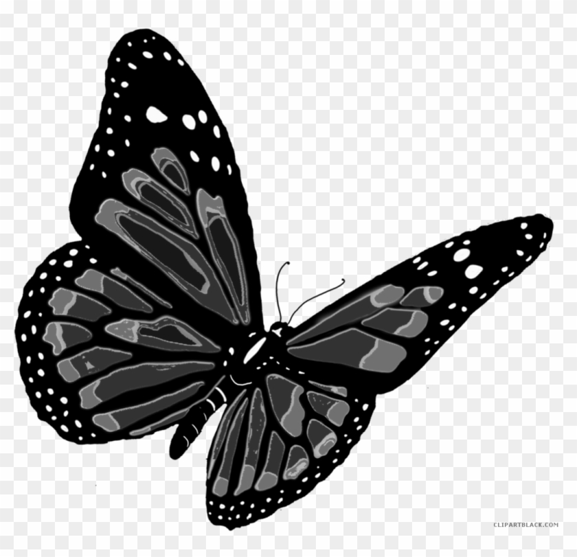 Flying Butterfly Animal Free Black White Clipart Images - Butterfly Orange #1105449