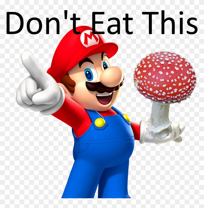 Can Eat A Amanita Muscaria / Super Mushroom Raw - Mario Mario Party 9 #1106423