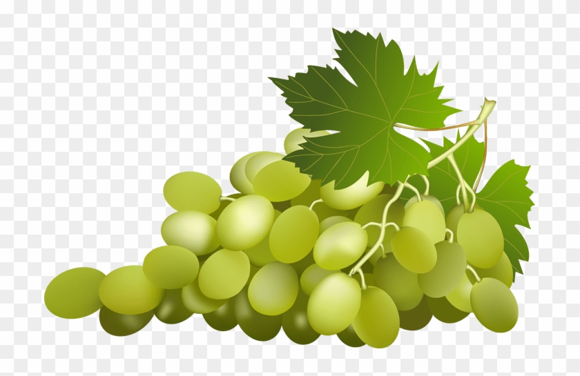 Grapes Clipart Png #1106432