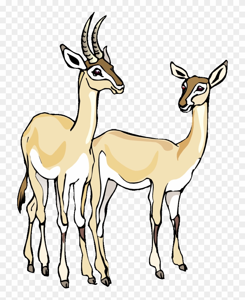 Top 87 Gazelle Clipart - Clip Art #1106575
