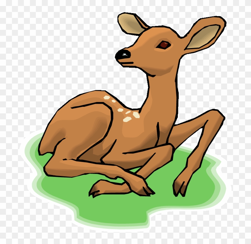 Baby Deer Clipart Free Clip Art Images - Free Clip Art Deer #1106588