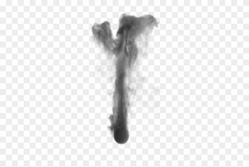 Animated Smoke Png Download - Portable Network Graphics #1106617