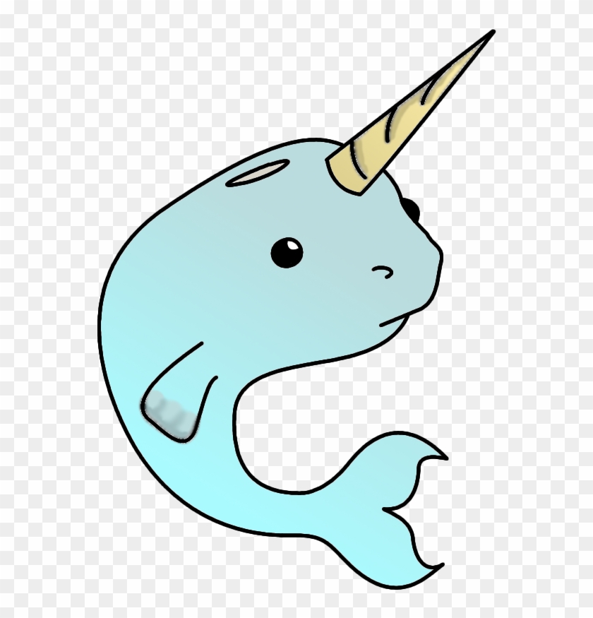 Narwhal Cartoon Www Imgkid Com The Image Kid Has It - Narwhal Cartoon #1106802