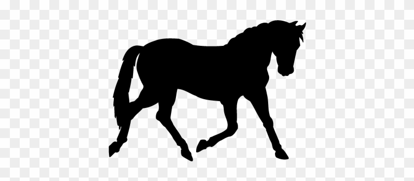 Stickers Cheval - Horse Silhouette #1106888