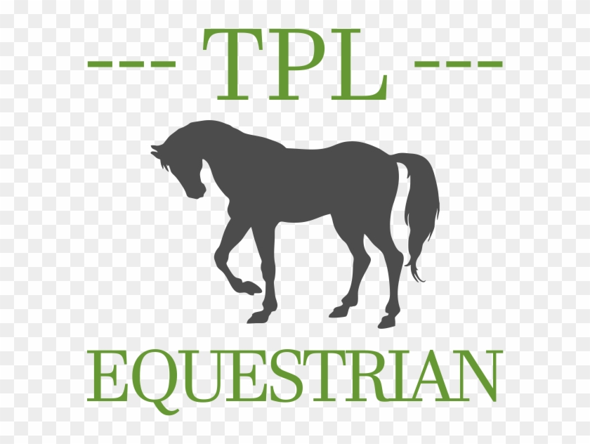 Equestrianism #1106949