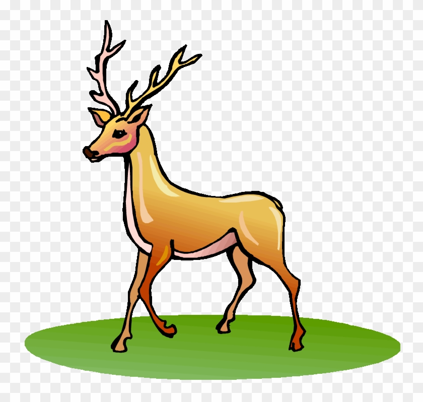 Deer - Clipart Image Of Deer #1106997