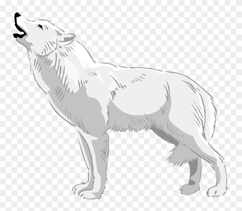 White Wolf Clipart - Arctic Wolf Clipart #1107283