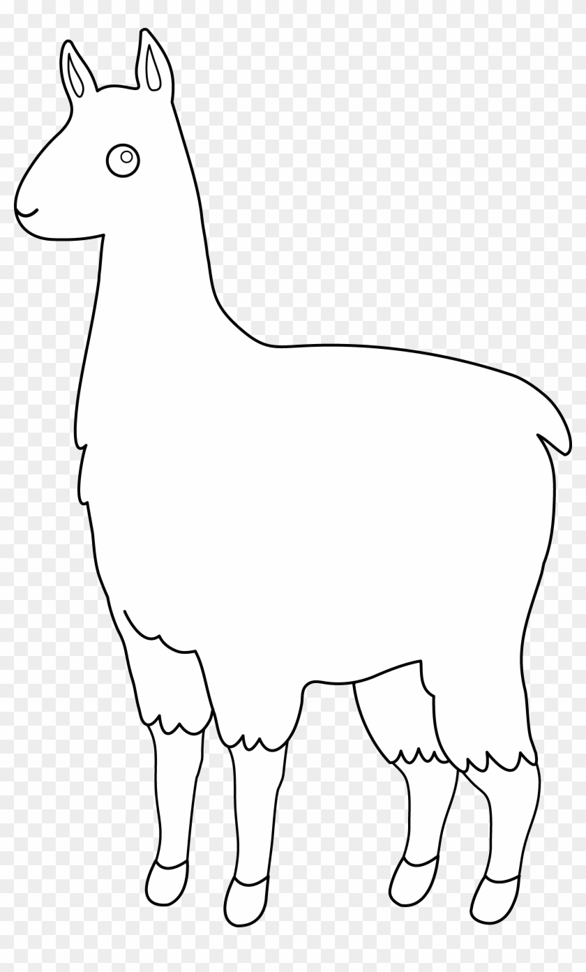 Alpaca - Clipart - - Llama Outline #1107299