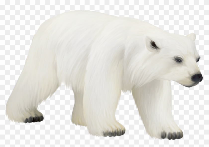 Polar Bear Bear Clip Art Vector Bear Graphics Image - Polar Bear #1107316