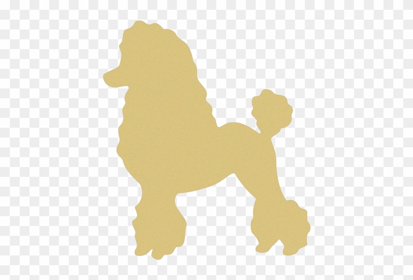 Gold Poodle - Poodle Skirt Poodle #1107623
