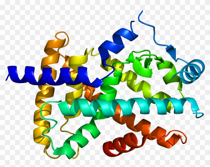 Peroxisome Proliferator Activated Receptor Structure #1107658