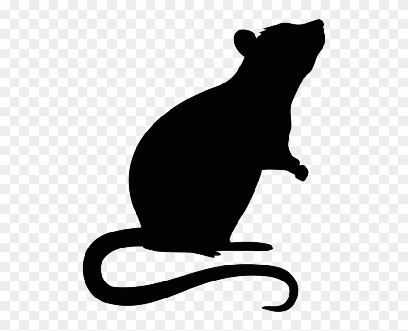 Athelstan Of Cottonmouth - Rat Silhouette Transparent #1107682
