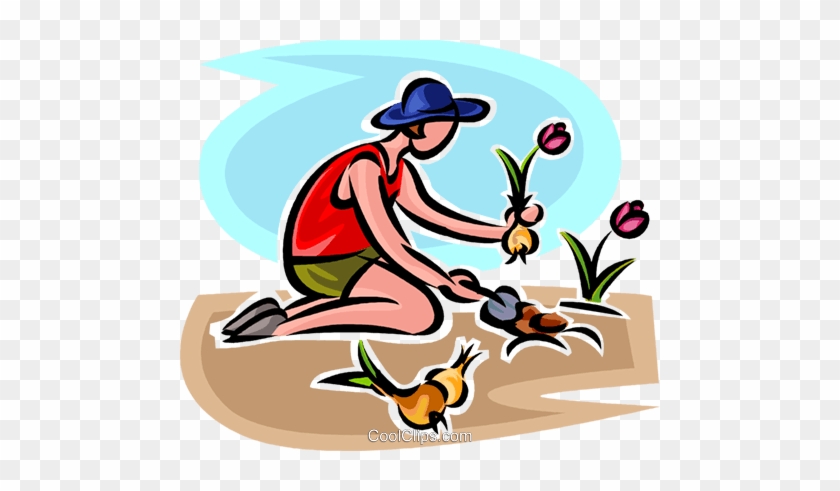 Gardener Planting Flowers Royalty Free Vector Clip - Planting Bulbs Clipart #1107972