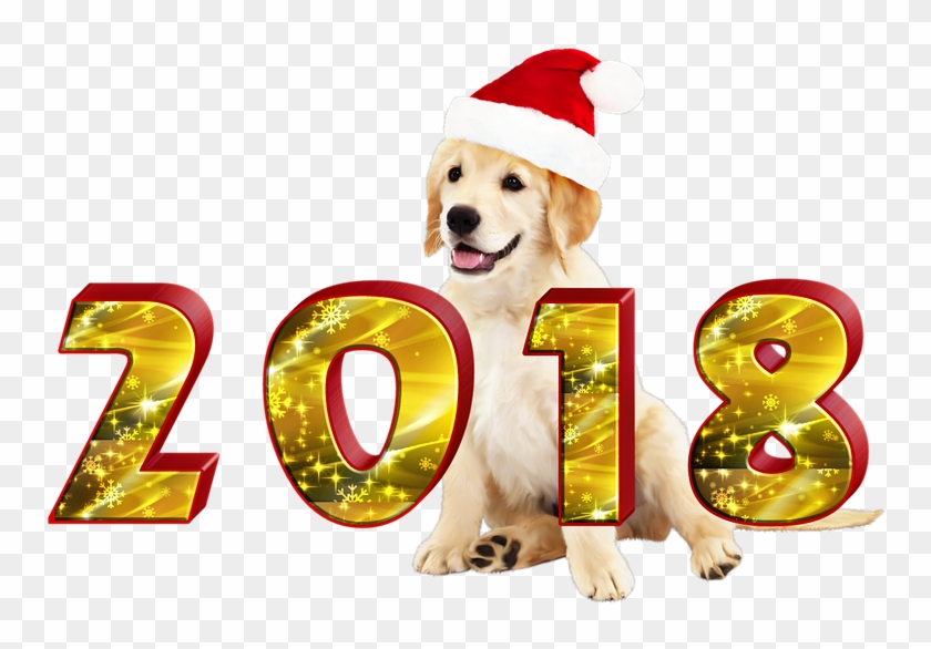 8 Tips To Prolong The Life Of Your Pet - Happy New Year 2018 Facebook Cover #1108867