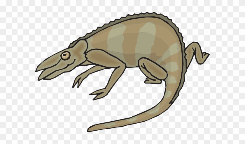 Brown Chameleon Clipart #1108903