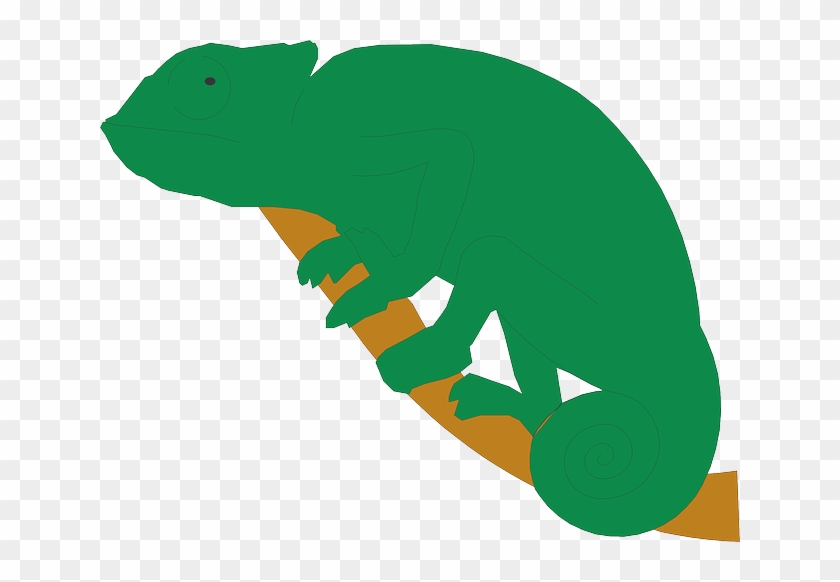 Branch, Chameleon, Tail, Reptile, Curled - Chameleon Clipart #1108953