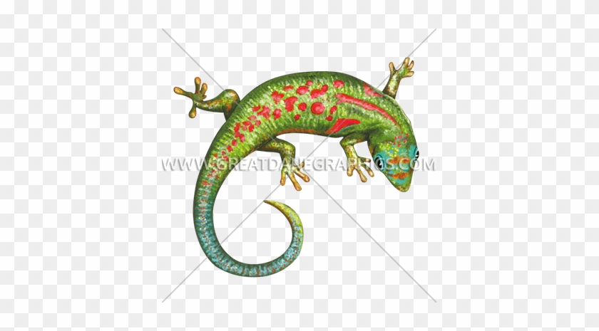 Lizard Curl - Island Gecko Green Blue Red Tropical Lizard Spare Tire #1108971