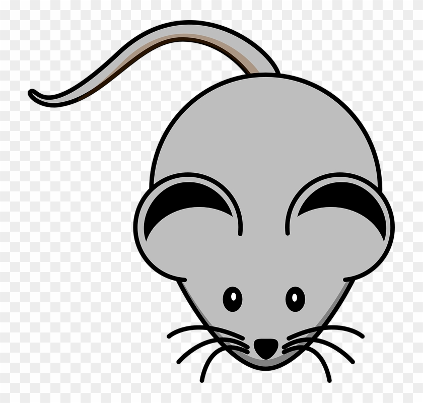 Whiskers Drawing Clip Art - Mouse Clip Art #1108983