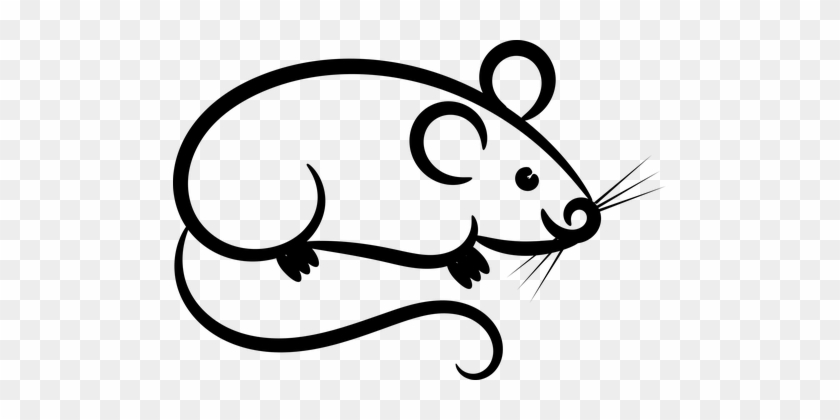 Mouse Laboratory Rat Whiskers Clip Art - Clip Art #1108988