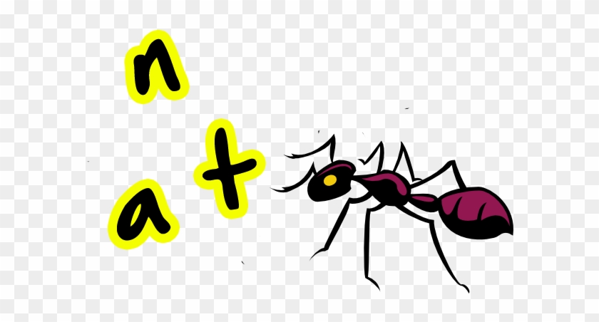 Ant #1109293