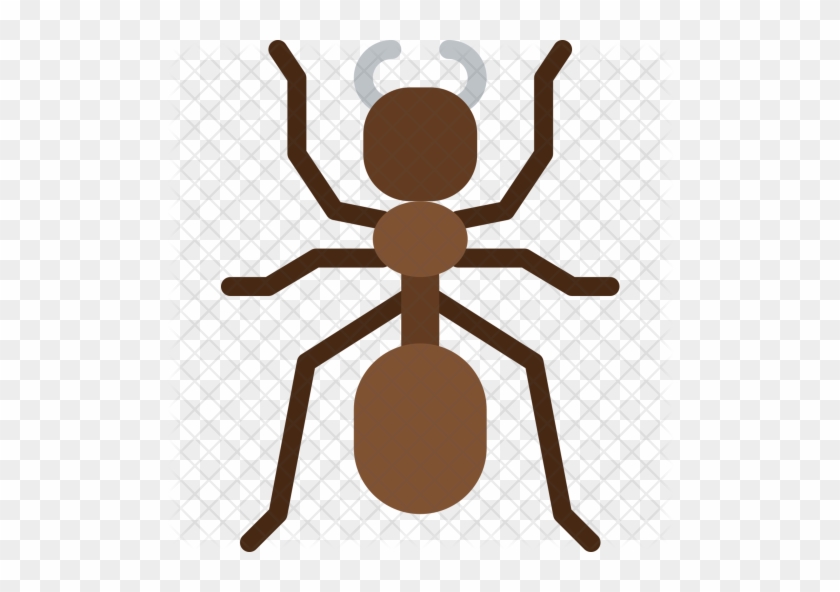 Ant Icon - Karınca Png Düz #1109319