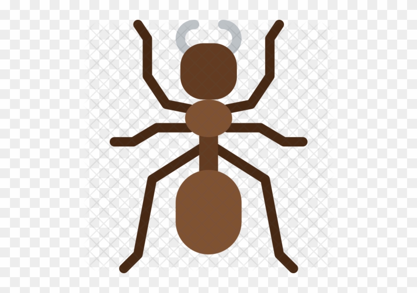 Ant Icon - Karınca Png Düz #1109319