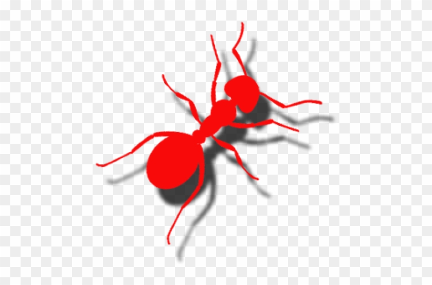 Ant #1109340