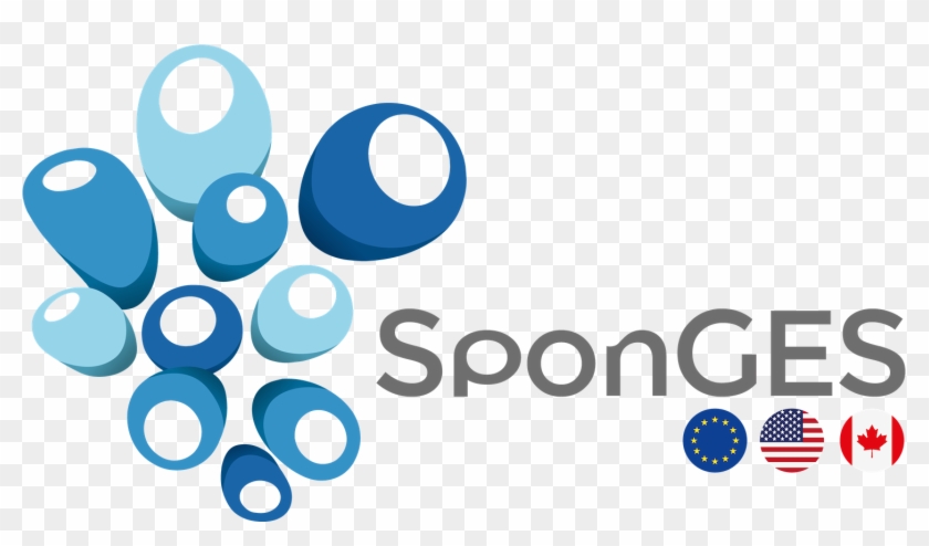 Sponges Has Received Funding From The European Union's - Logo Sea Sponge #1109502