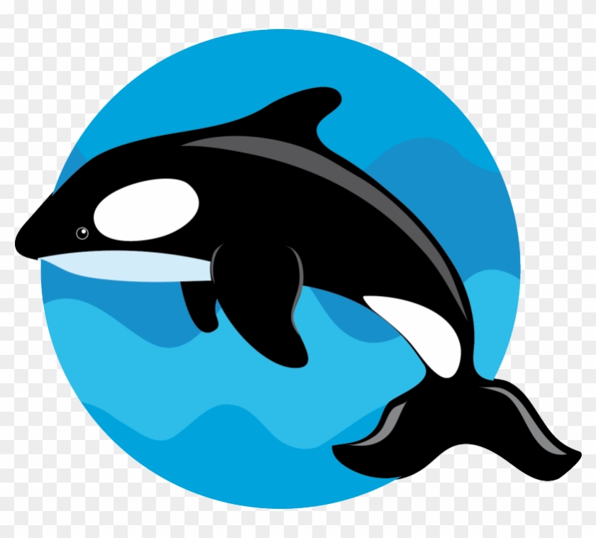 Siguiente - Orca Whale #1109678